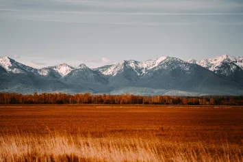 Montana plains